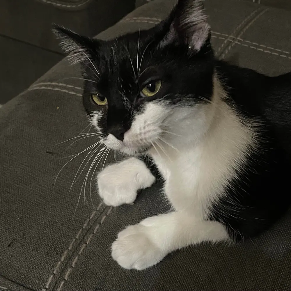 neptune-cloud.bsky.social's profile picture