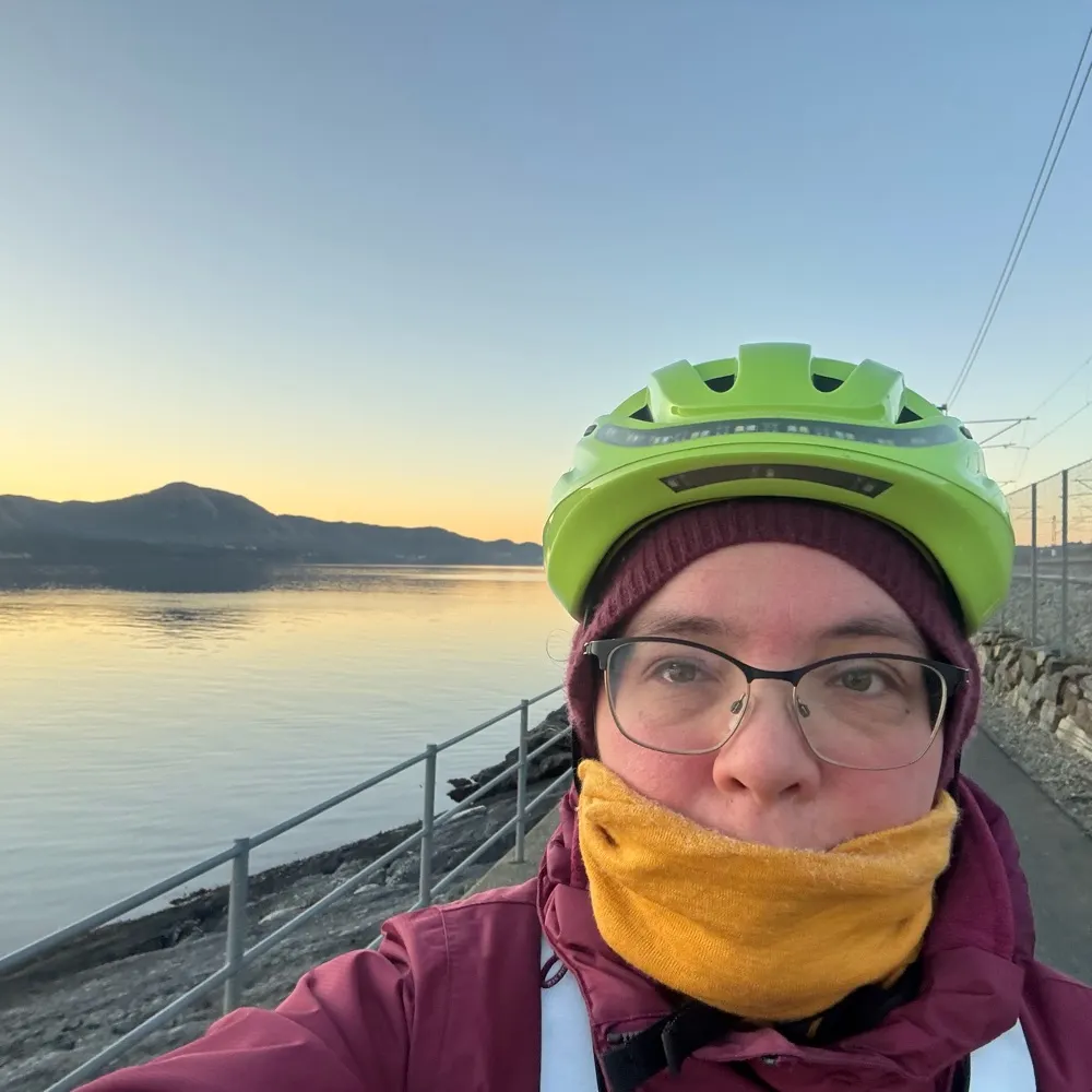 maida.bsky.social's profile picture