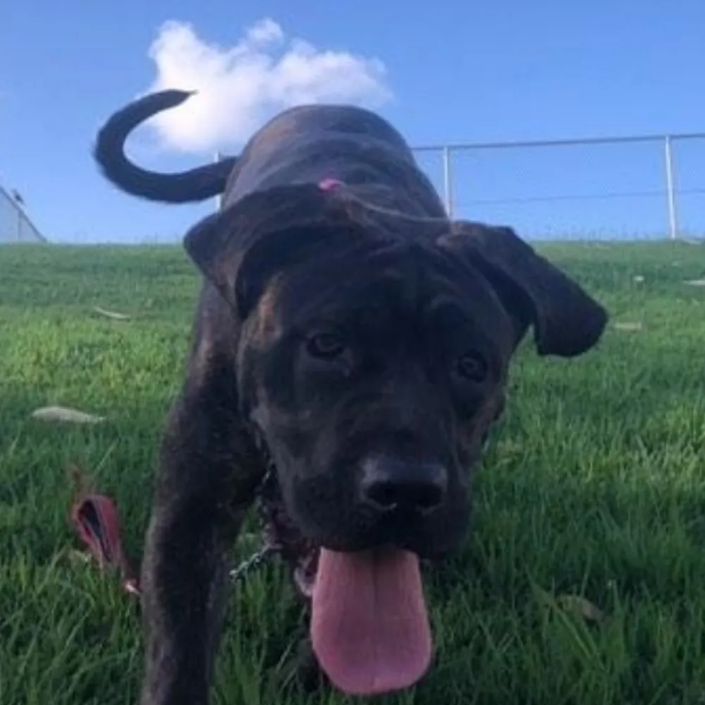 devnull73.bsky.social's profile picture