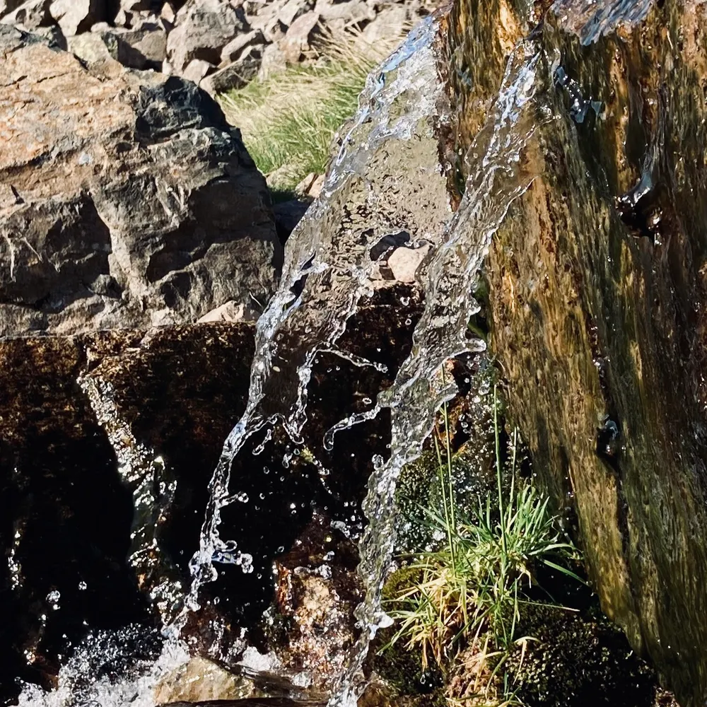 lancslads.bsky.social's profile picture