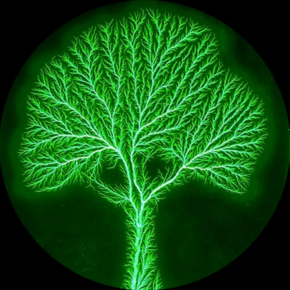 sethboll.bsky.social's profile picture