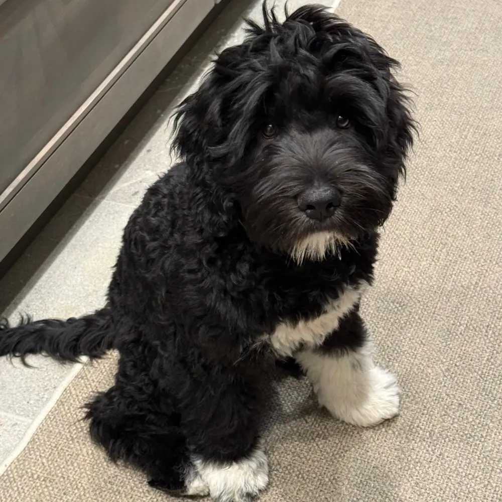 marcelias.bsky.social's profile picture