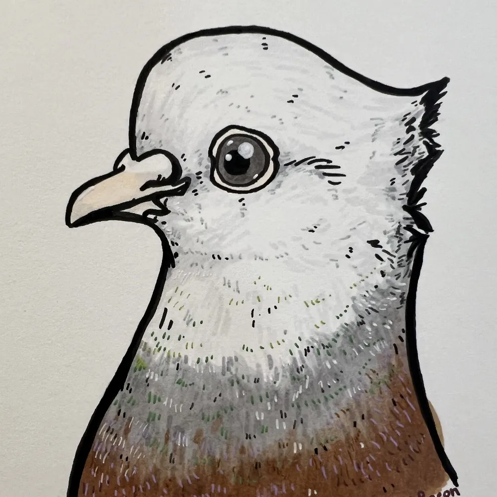 smollestbunny2.bsky.social's profile picture