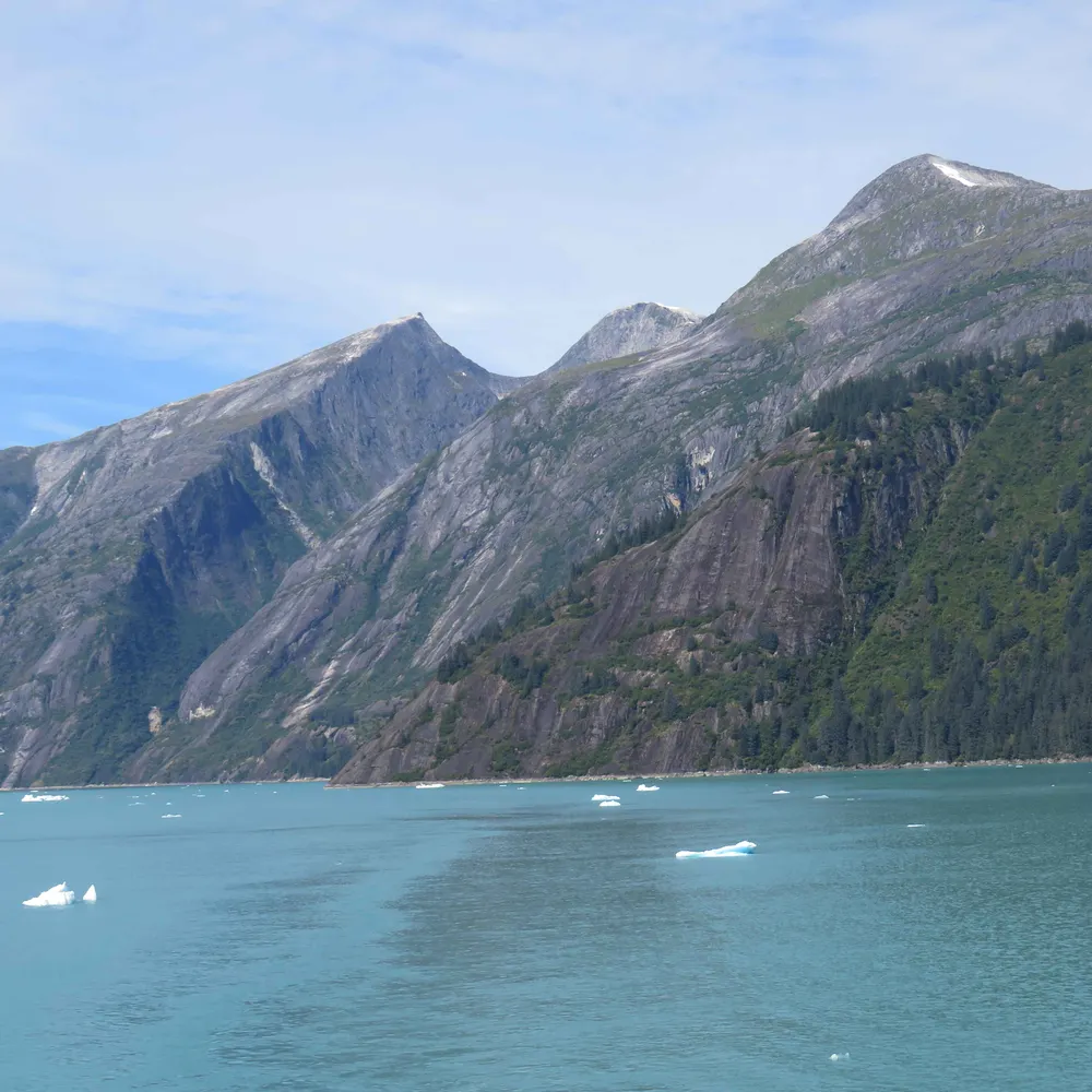 greenowl.bsky.social's profile picture