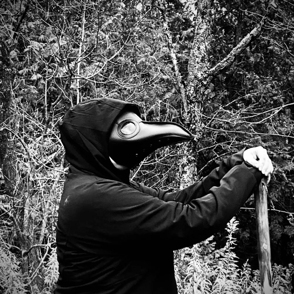 meshell.bsky.social's profile picture