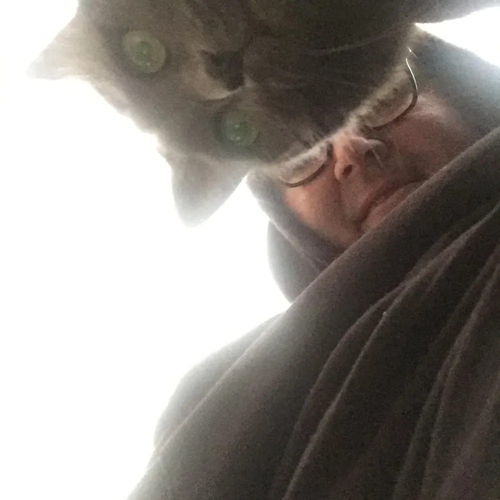 wordymelt.bsky.social's profile picture