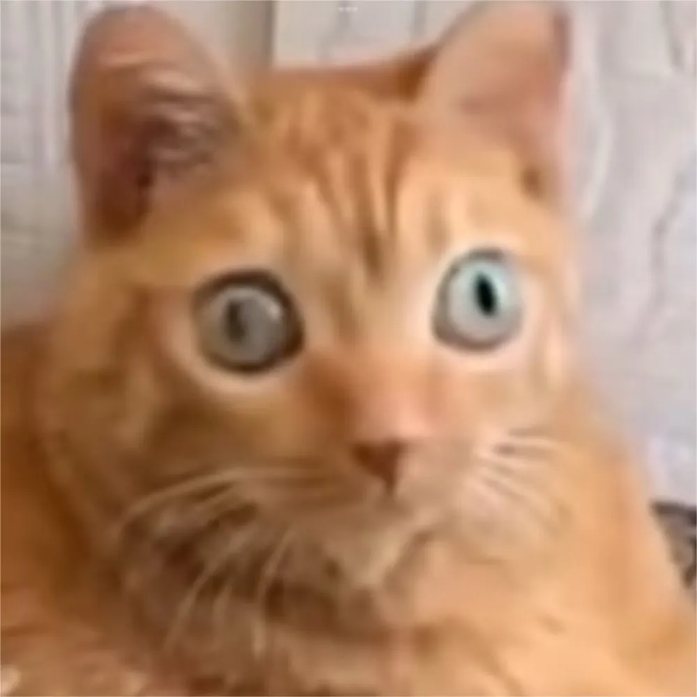 doesky8.bsky.social's profile picture