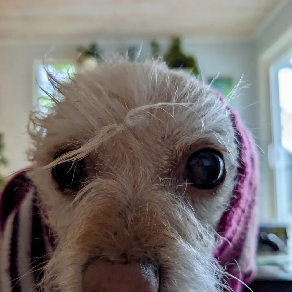 riisgriffen.bsky.social's profile picture