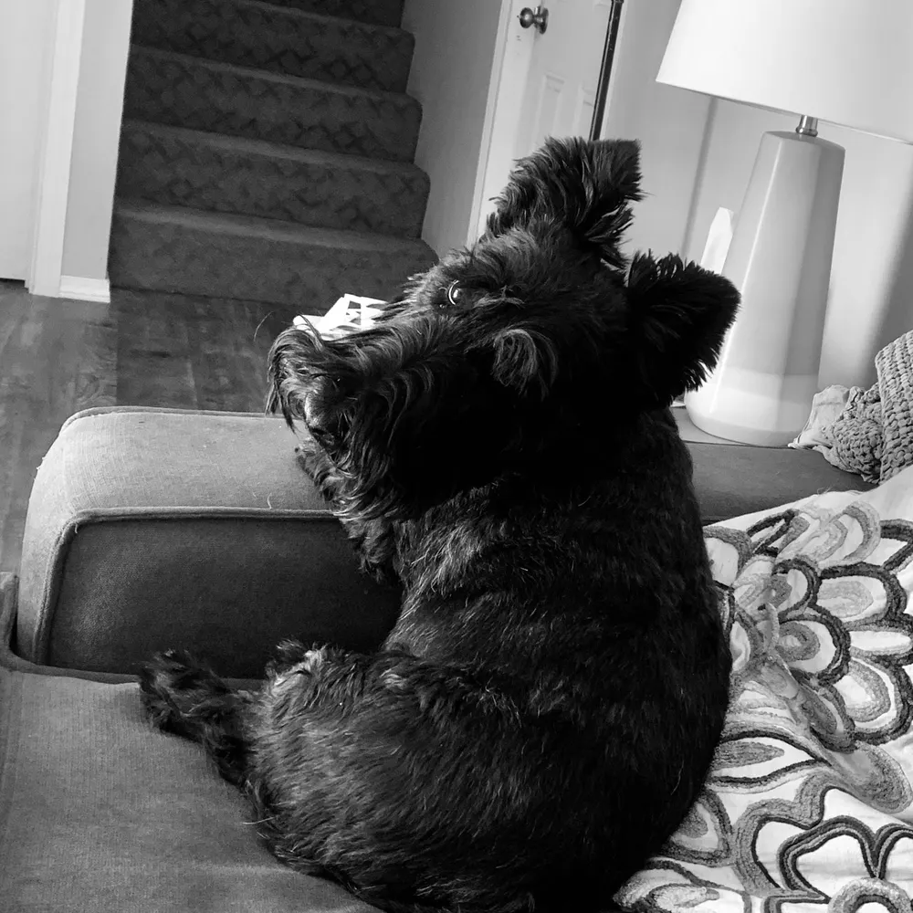 lesliem71114236.bsky.social's profile picture