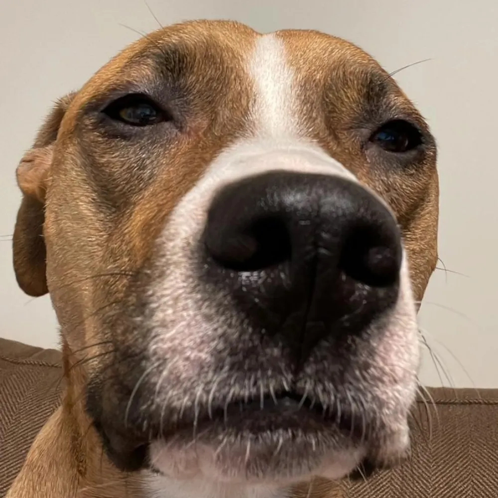 babayaga25.bsky.social's profile picture