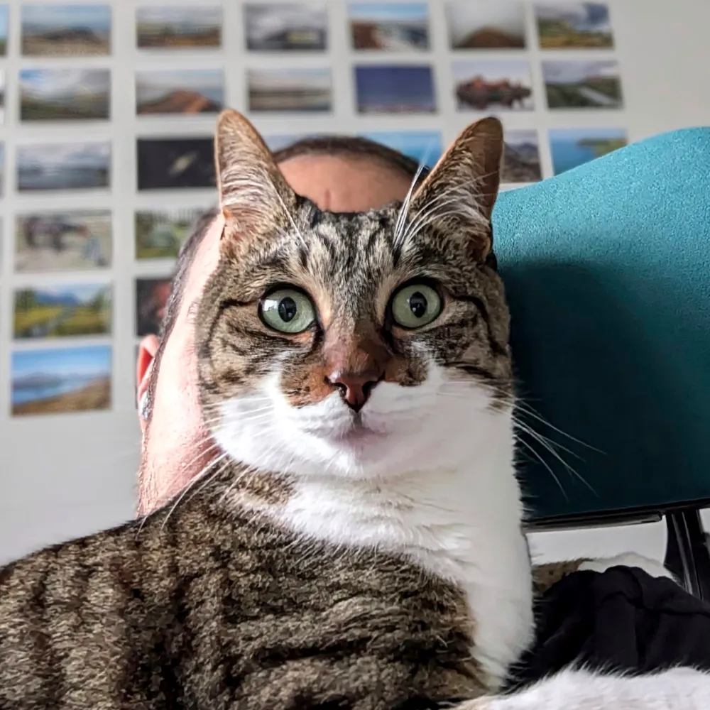 rreverser.com's profile picture