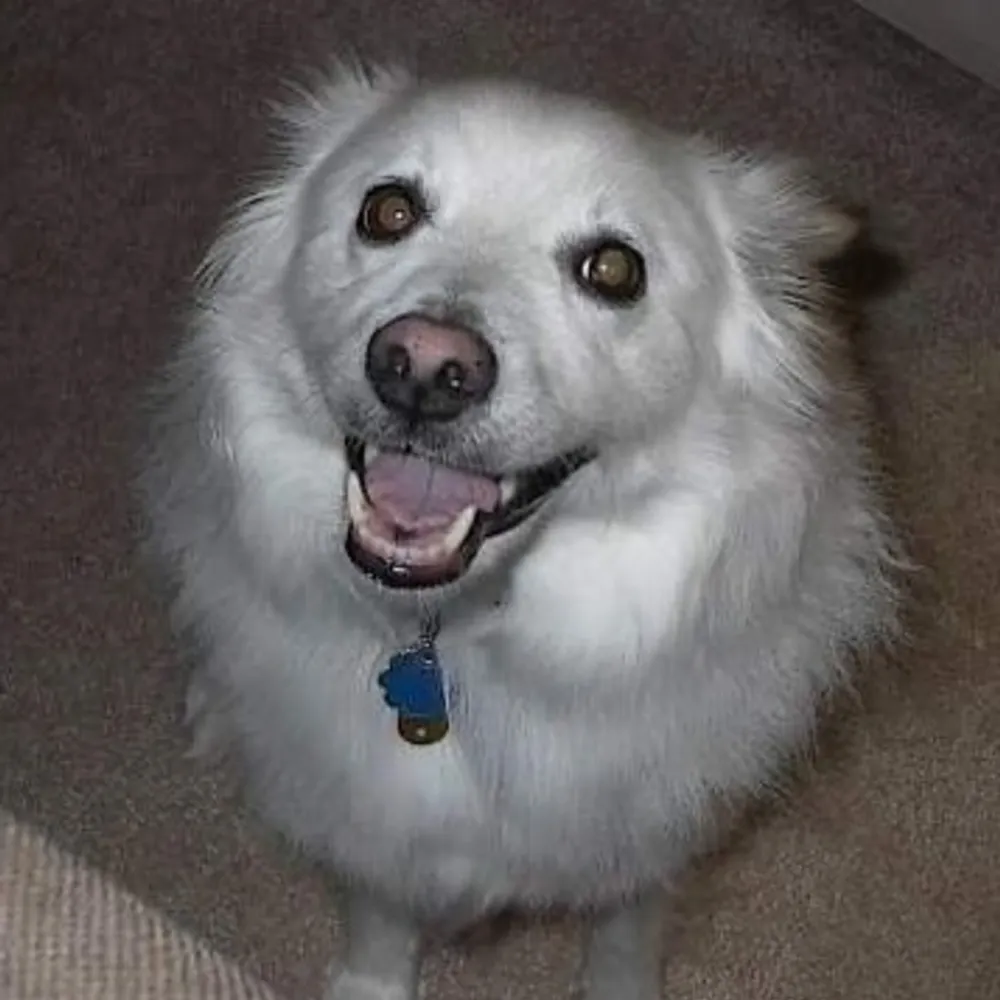 shedawg64.bsky.social's profile picture