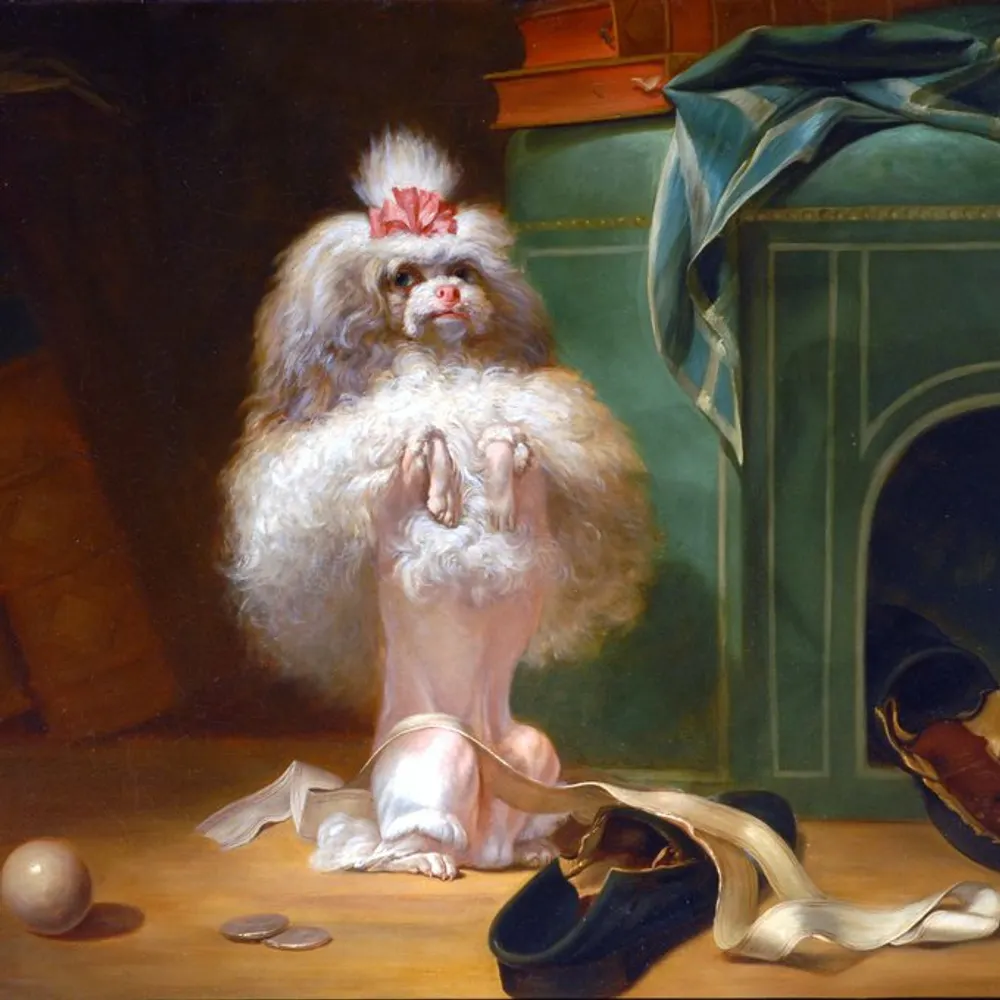 atomsdna.bsky.social's profile picture