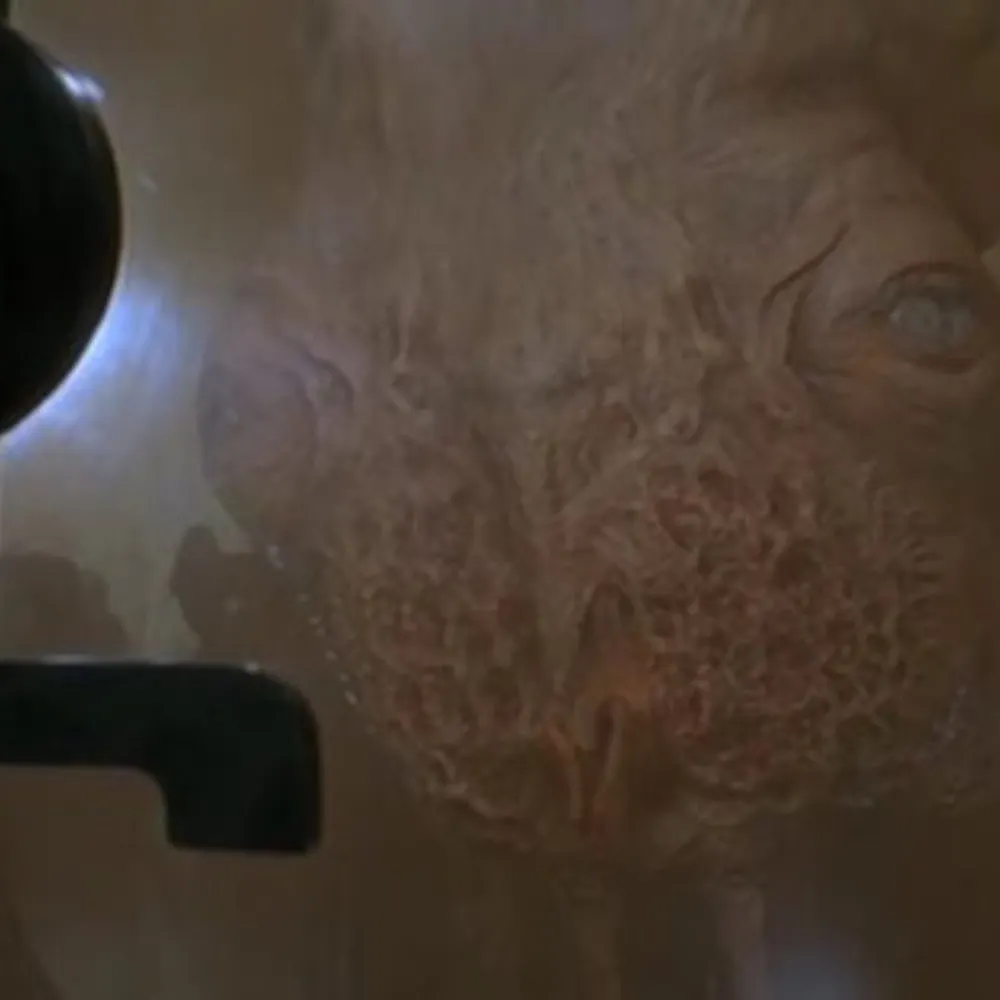 evanwaters.bsky.social's profile picture