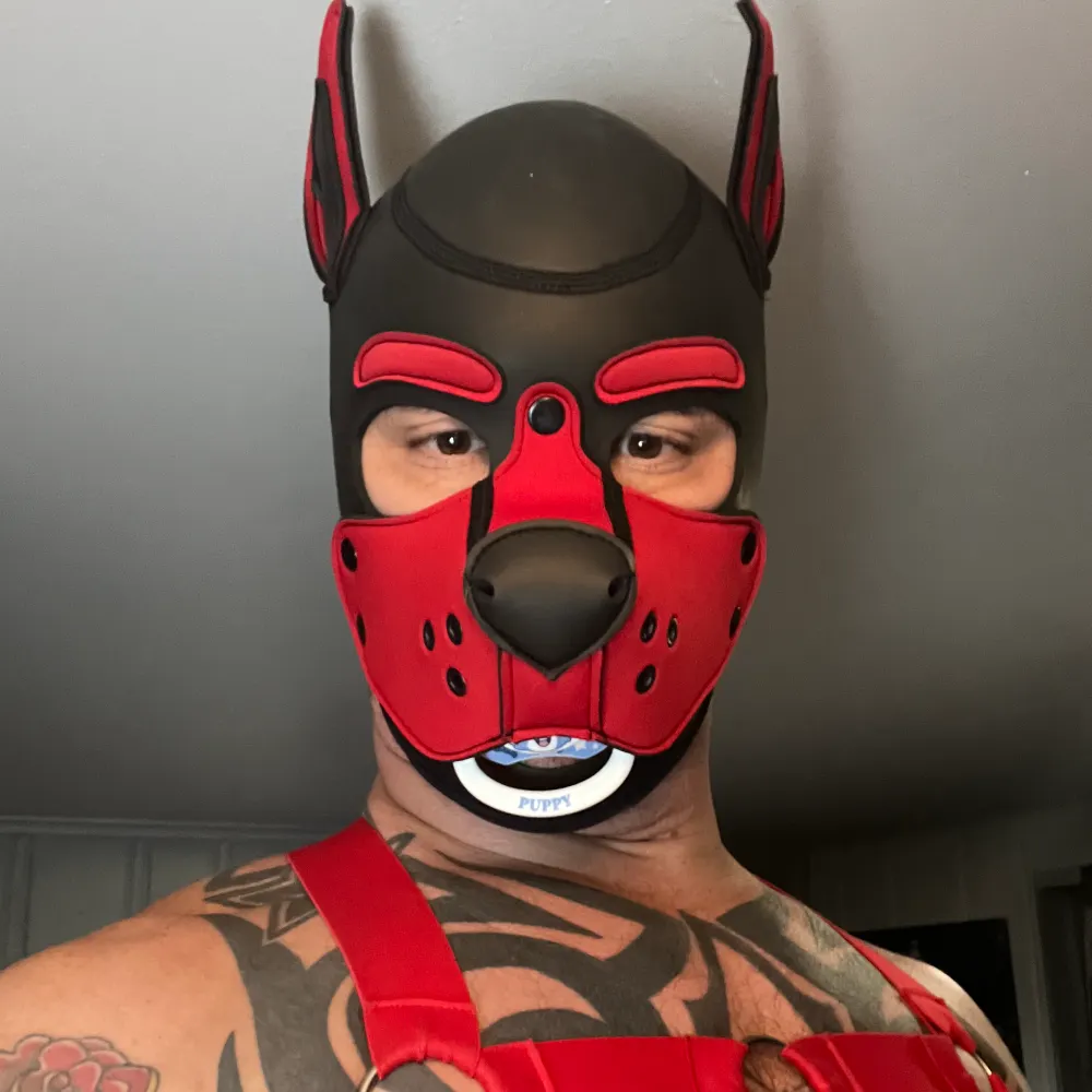 pupkoragg.bsky.social's profile picture