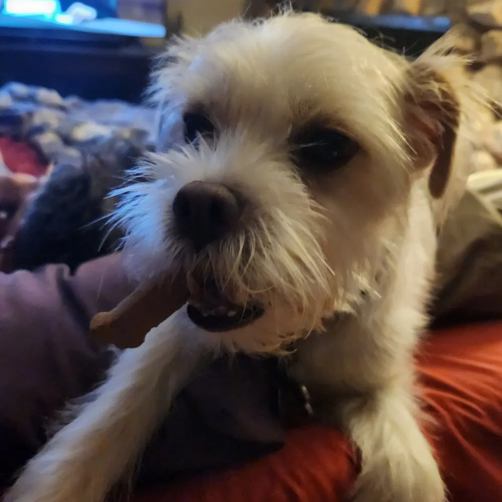 the1andonlyd-r-e.bsky.social's profile picture