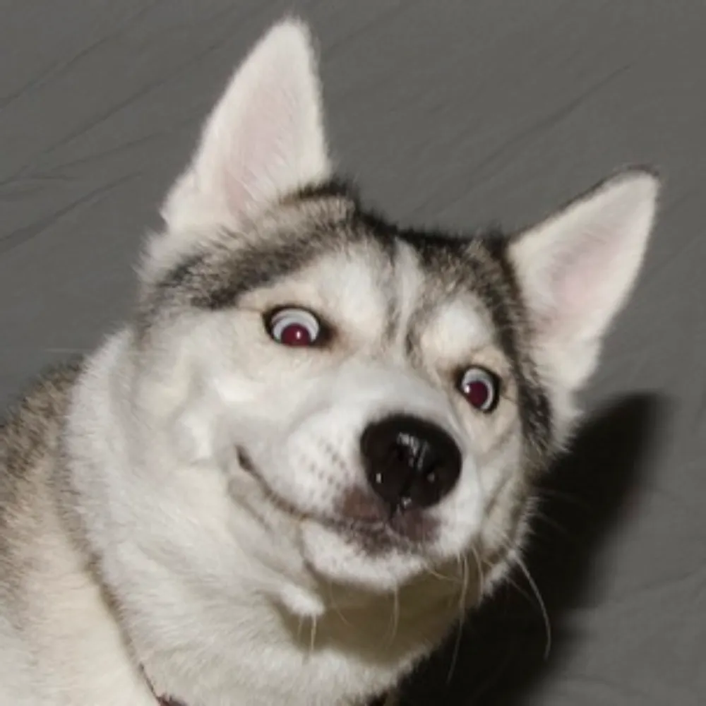 capn-spack-jarrow.bsky.social's profile picture