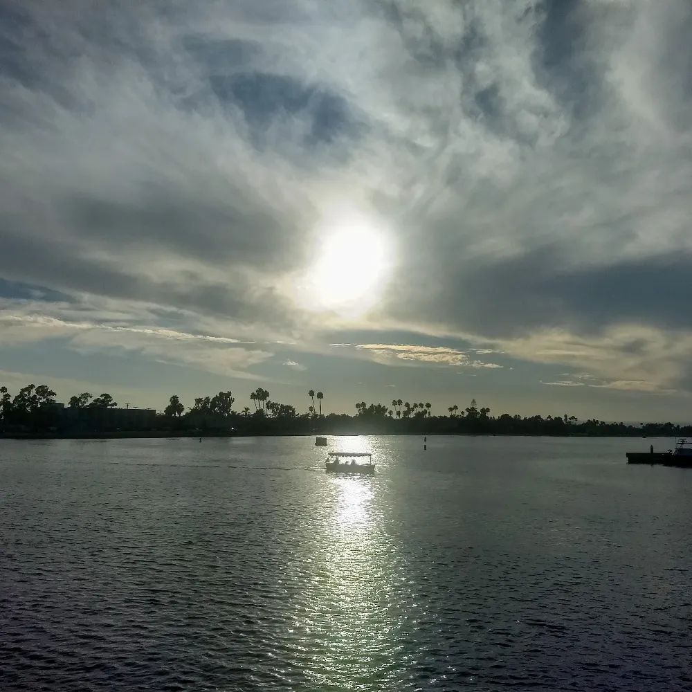 ap16623882.bsky.social's profile picture