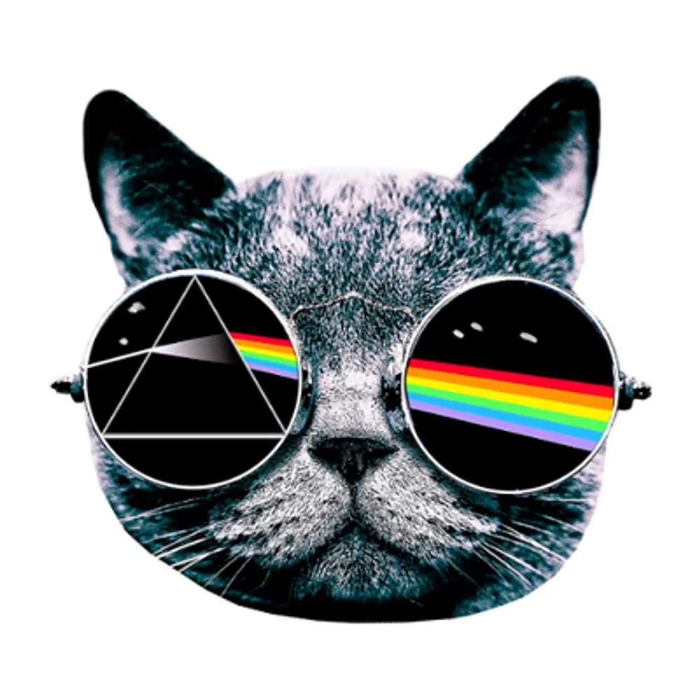 numb.comfortab.ly's profile picture