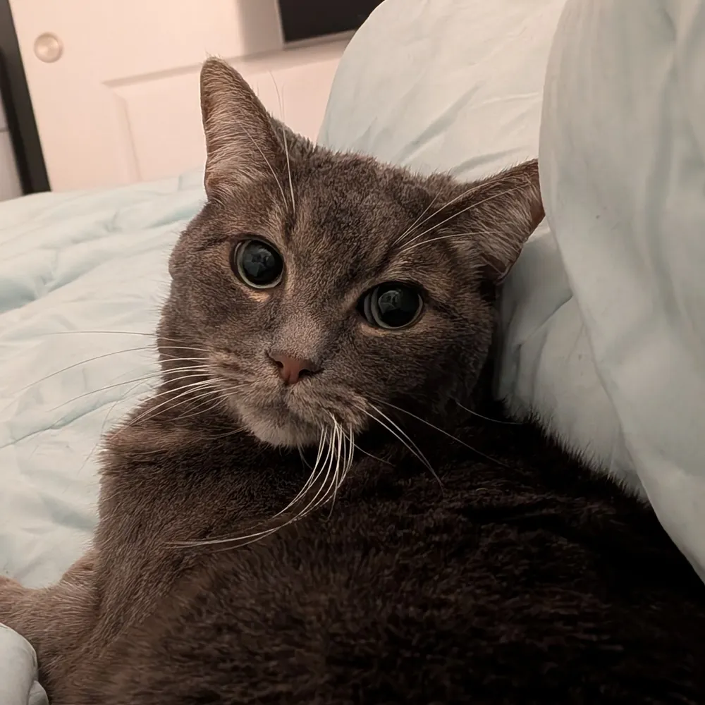 rpgamerl99.bsky.social's profile picture