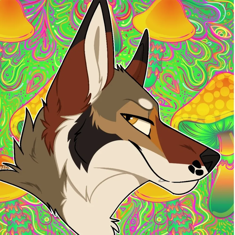 psychedelicyops.pet's profile picture