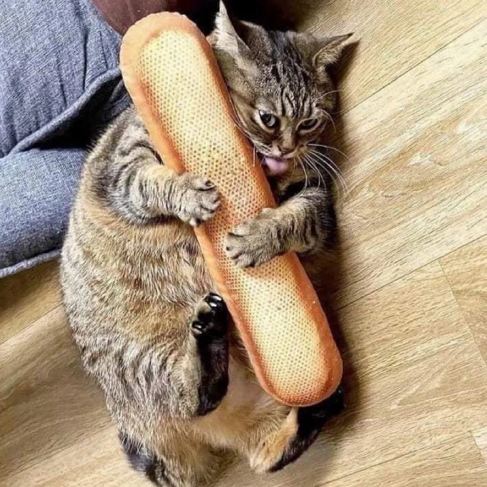 raginghonkers.bsky.social's profile picture