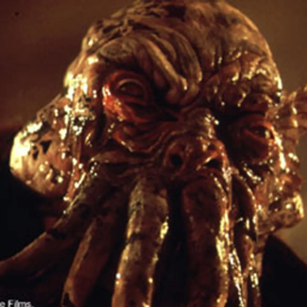 paddytimmerson.bsky.social's profile picture