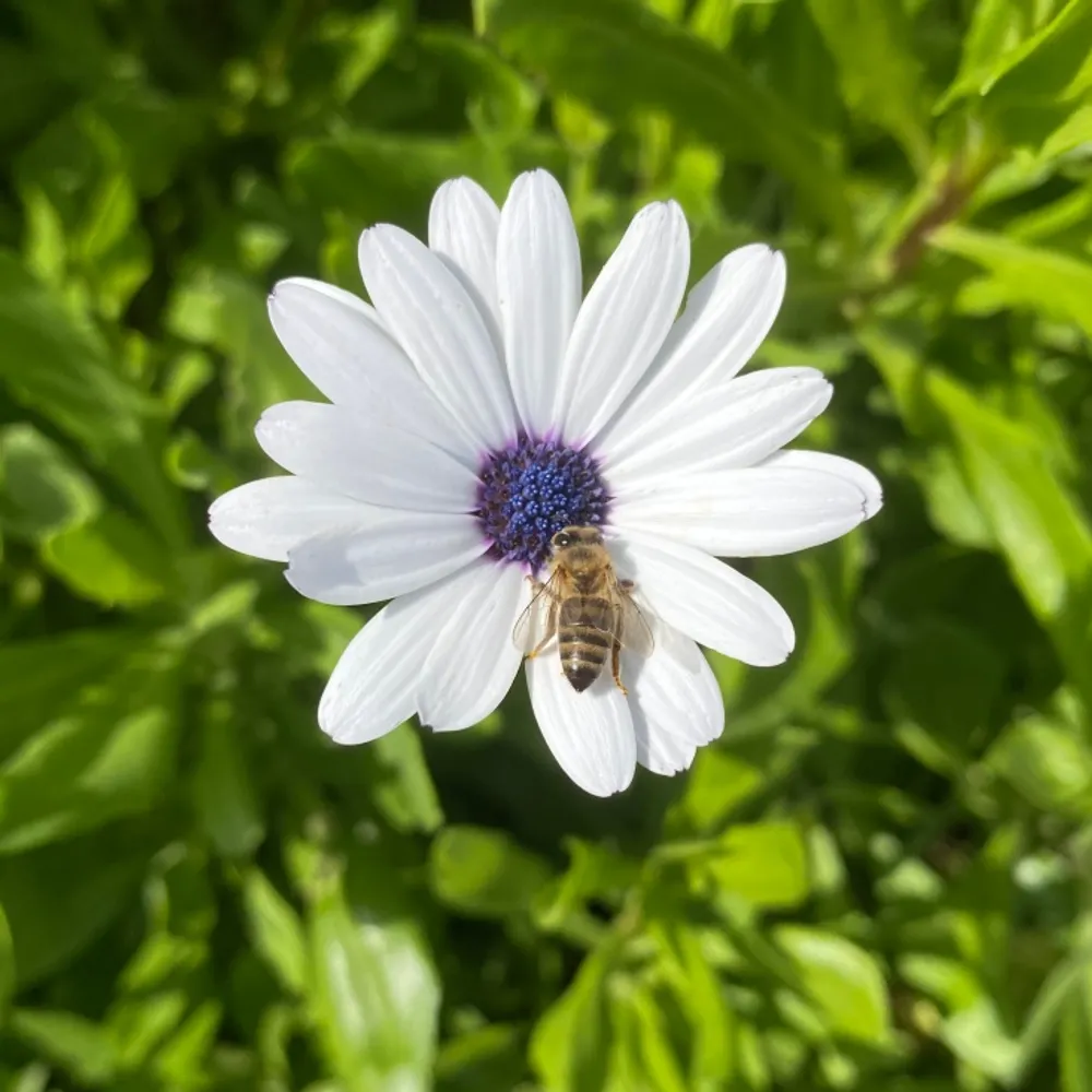 biffann.bsky.social's profile picture