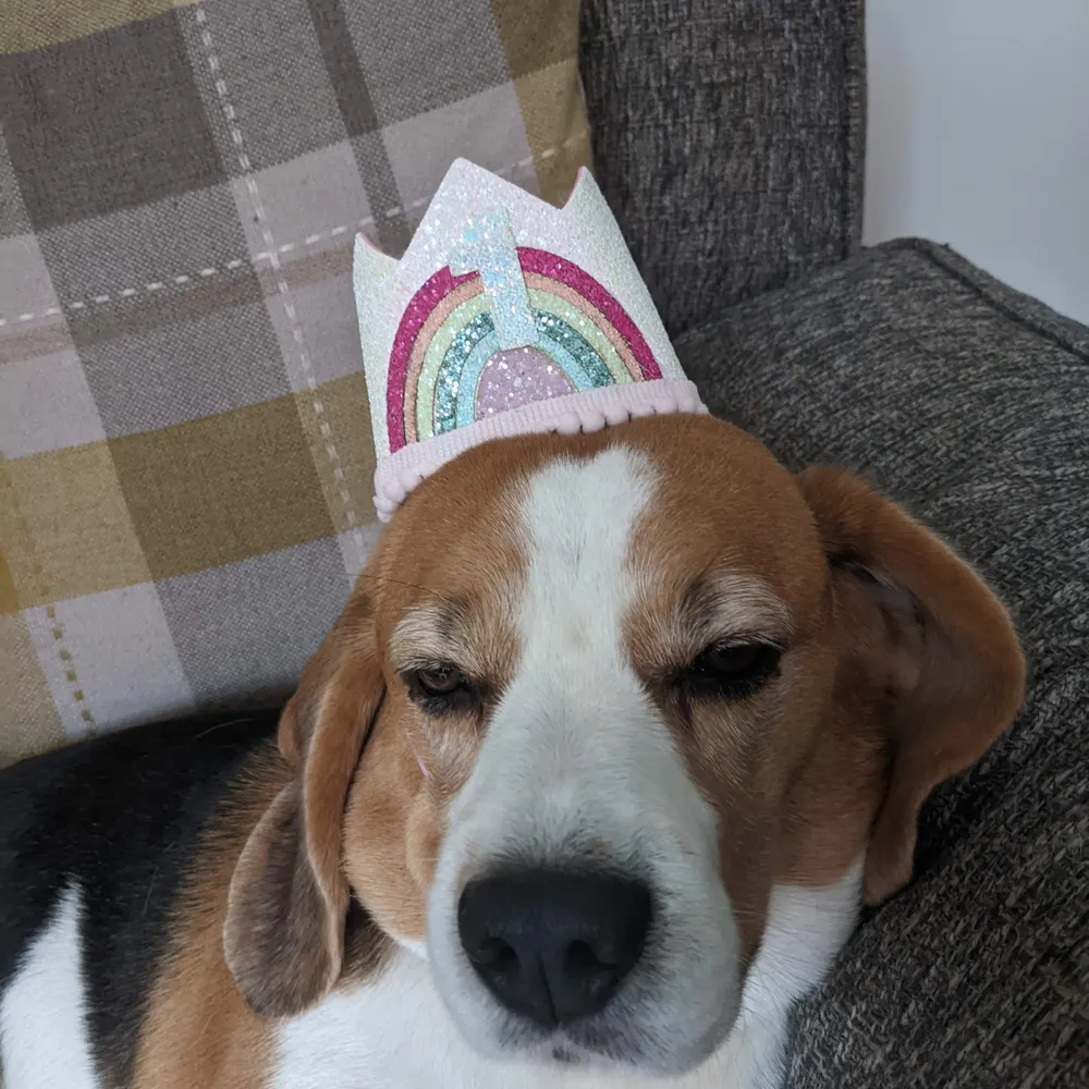 kirbyname.bsky.social's profile picture