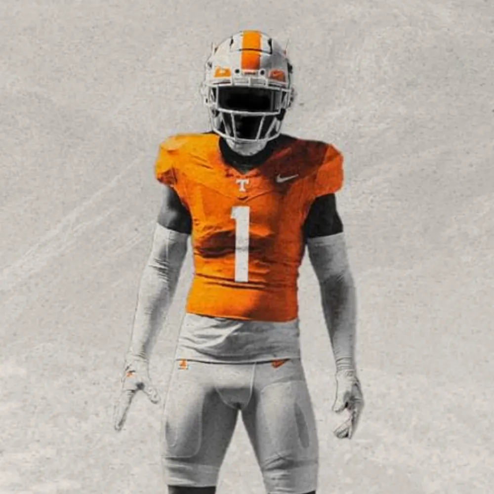 tnvol.bsky.social's profile picture