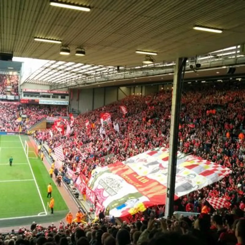 domhev.bsky.social's profile picture