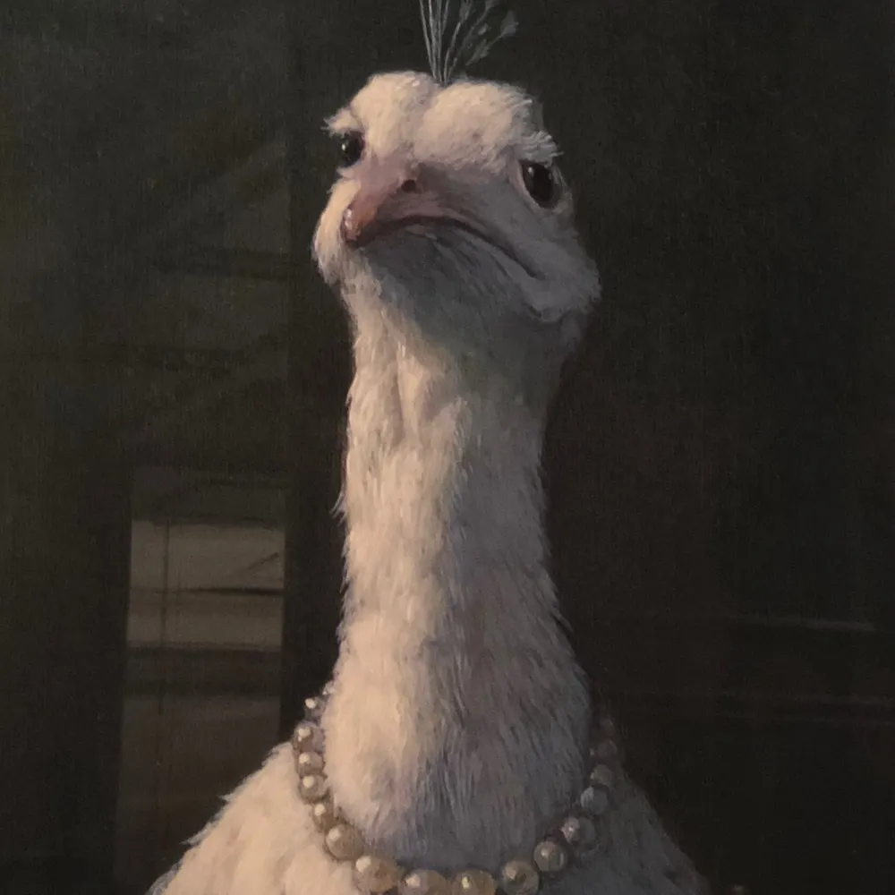 bunniejojo.bsky.social's profile picture