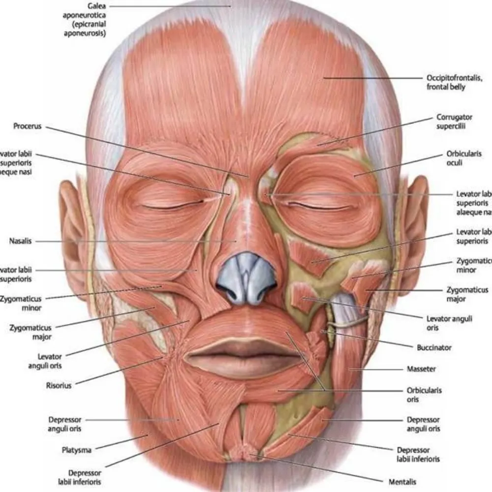 gregari61.bsky.social's profile picture