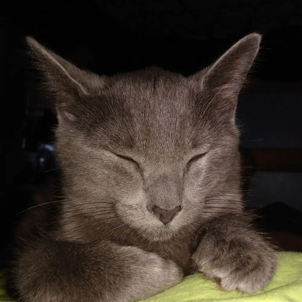 alphabet-hotel.bsky.social's profile picture