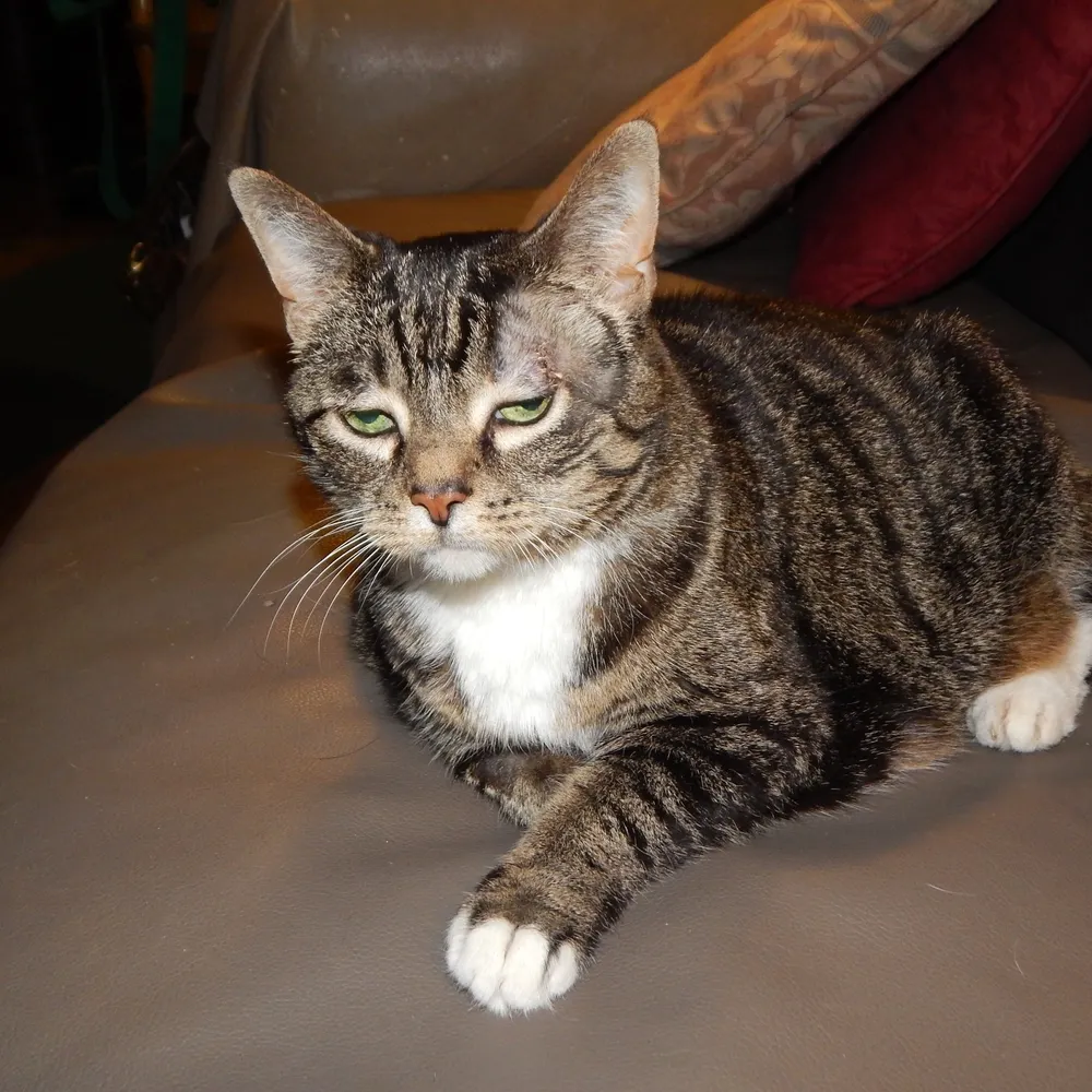 leerowan.bsky.social's profile picture