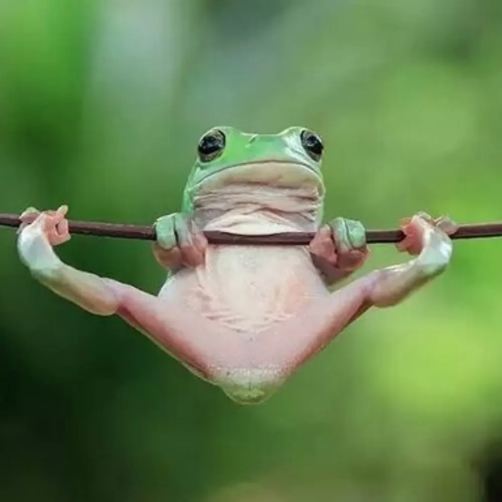 amdiamanti.bsky.social's profile picture