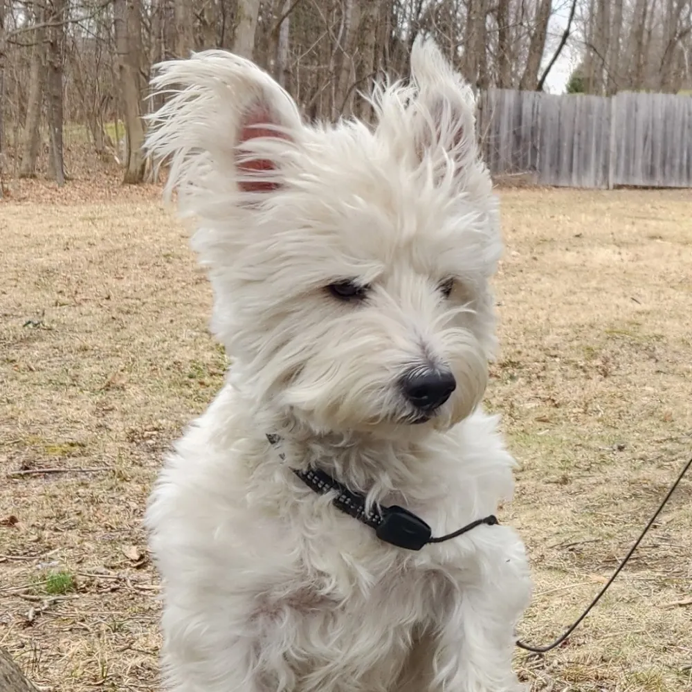 jengingras.bsky.social's profile picture