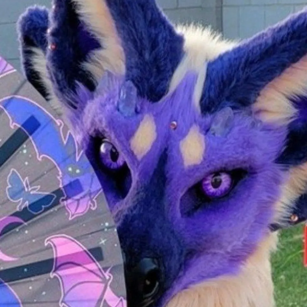 jadehellcat.bsky.social's profile picture