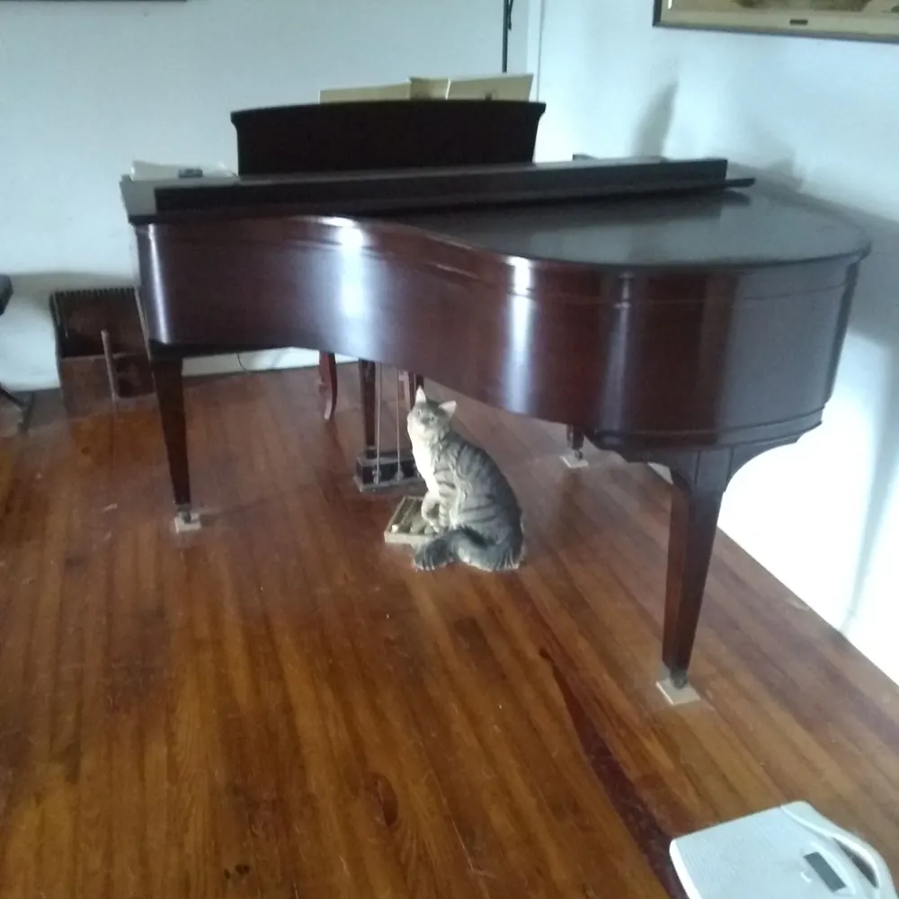 bamboozer2112.bsky.social's profile picture