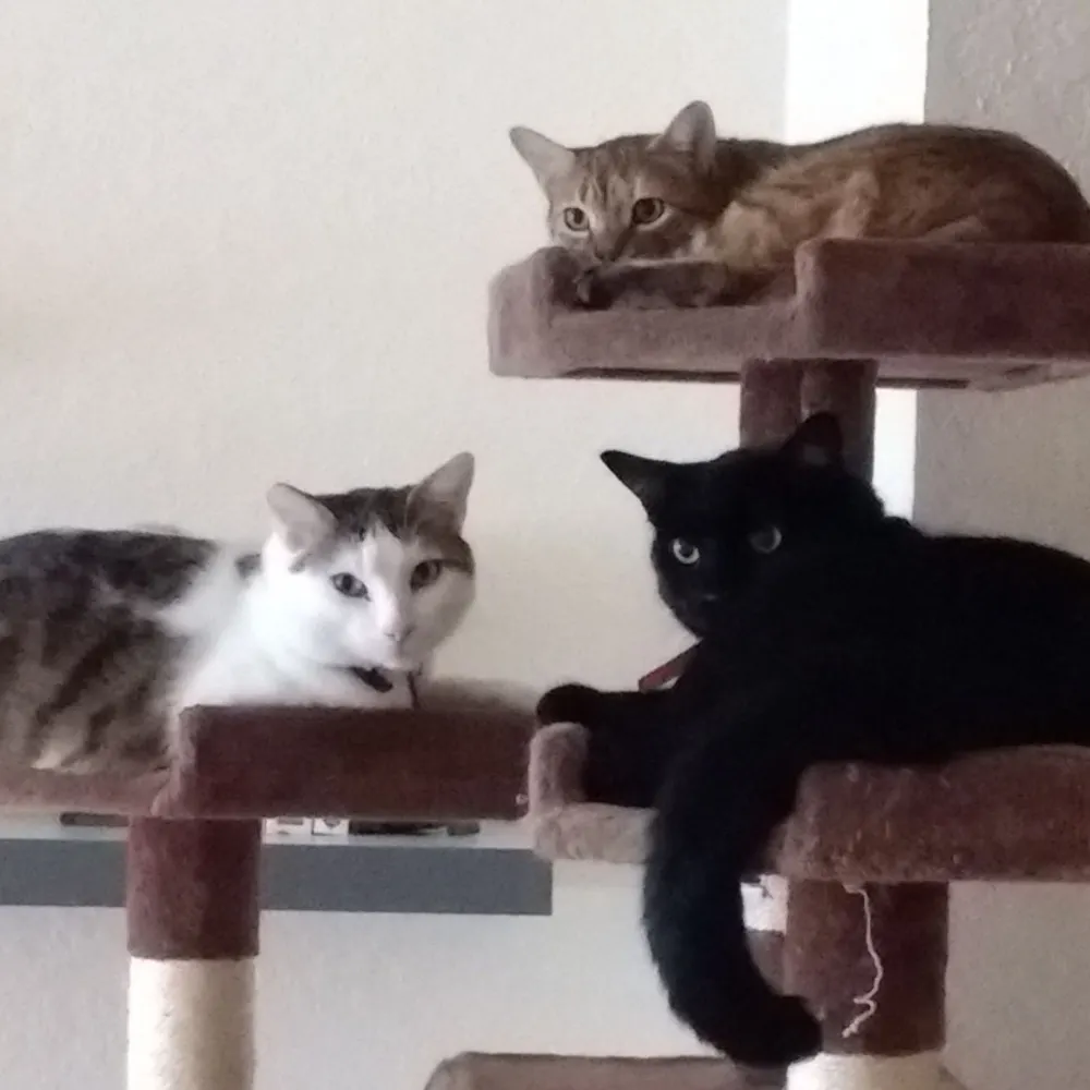 dreadpiratezed.bsky.social's profile picture