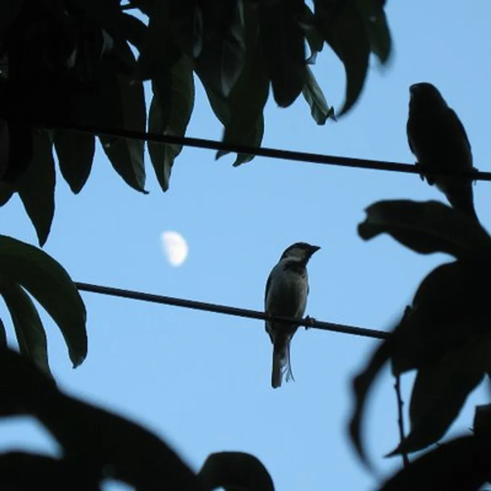 paladin55.bsky.social's profile picture