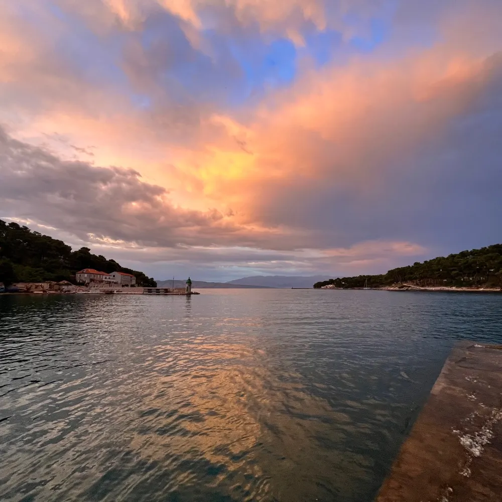 milankocic.bsky.social's profile picture