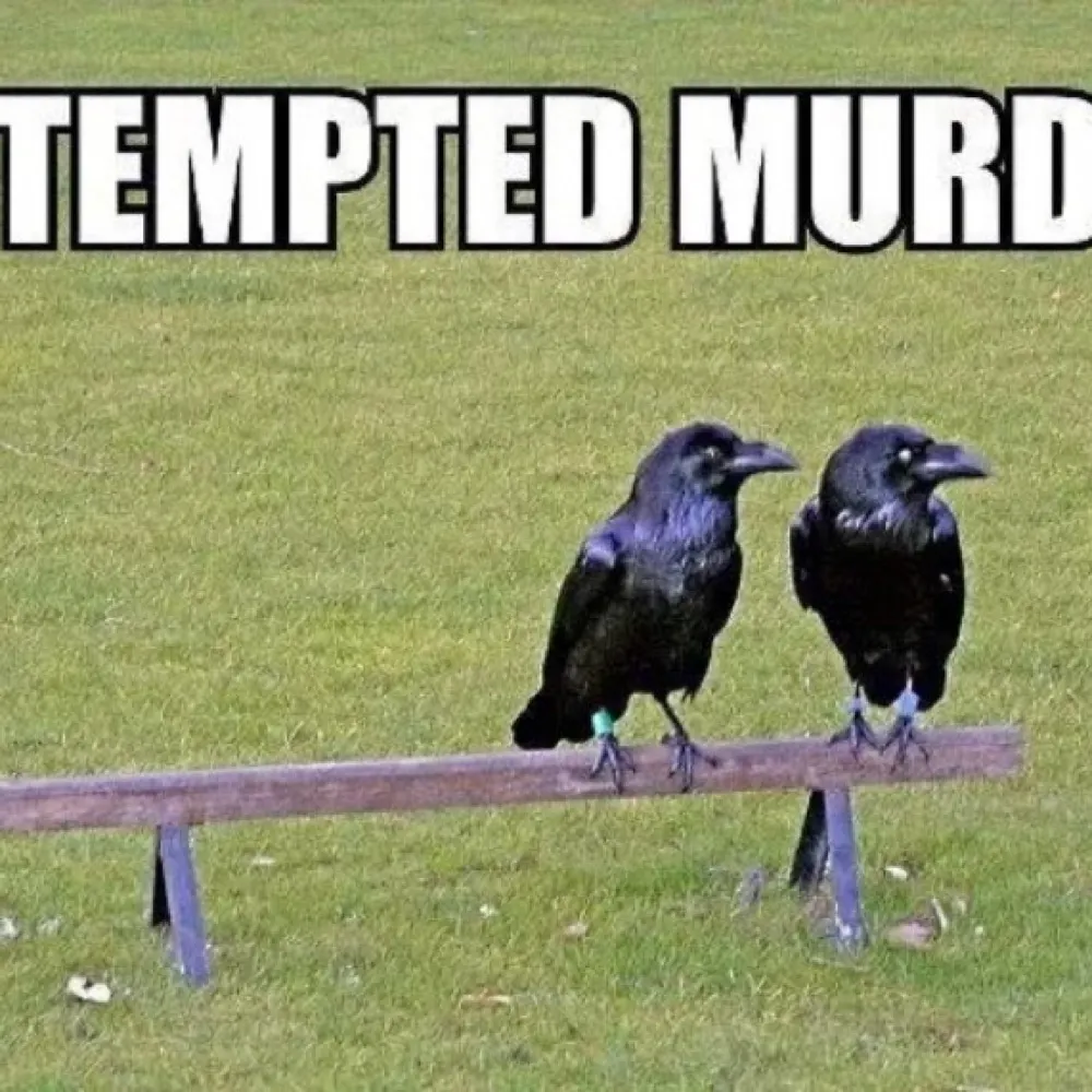 neiljg.bsky.social's profile picture