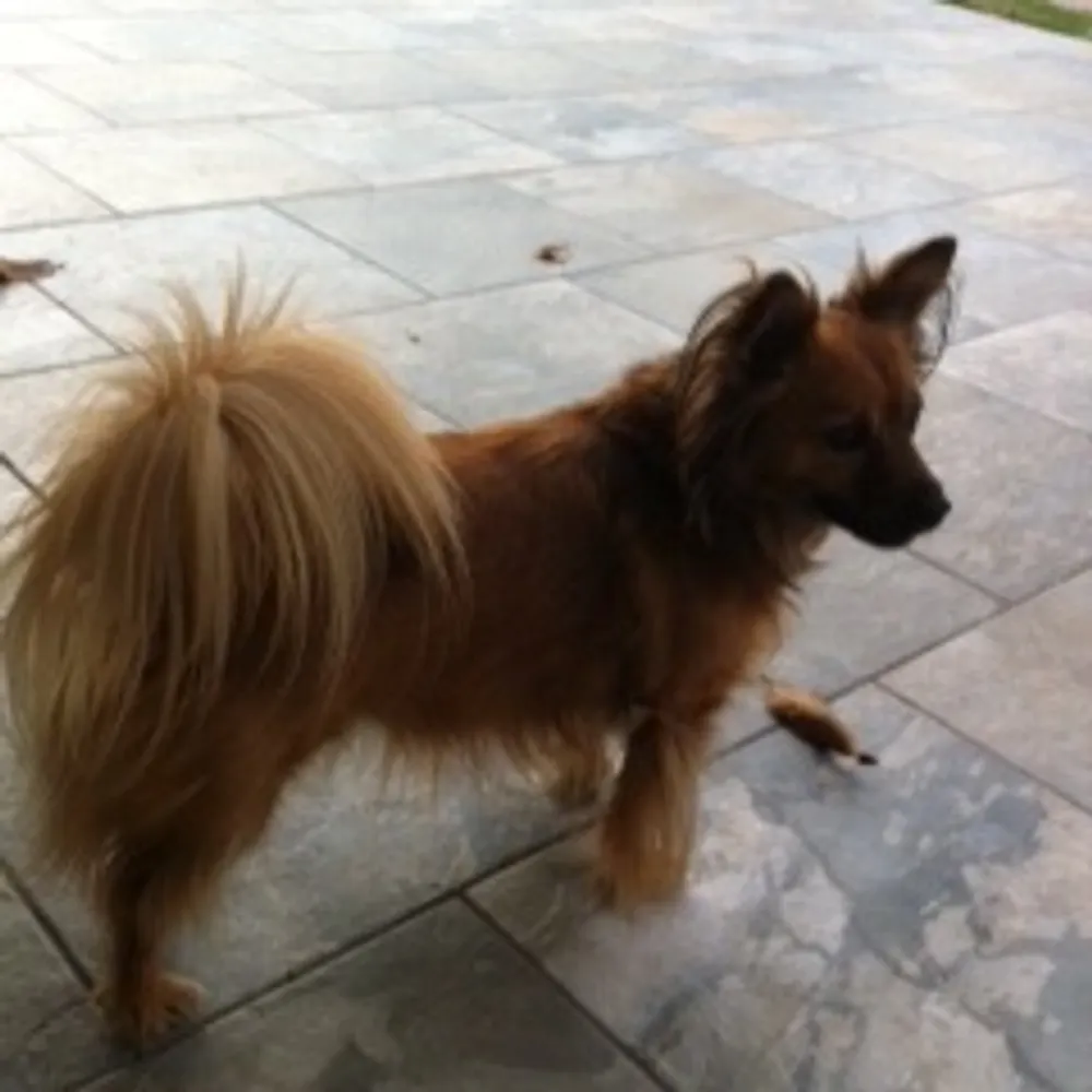 lunatic546.bsky.social's profile picture