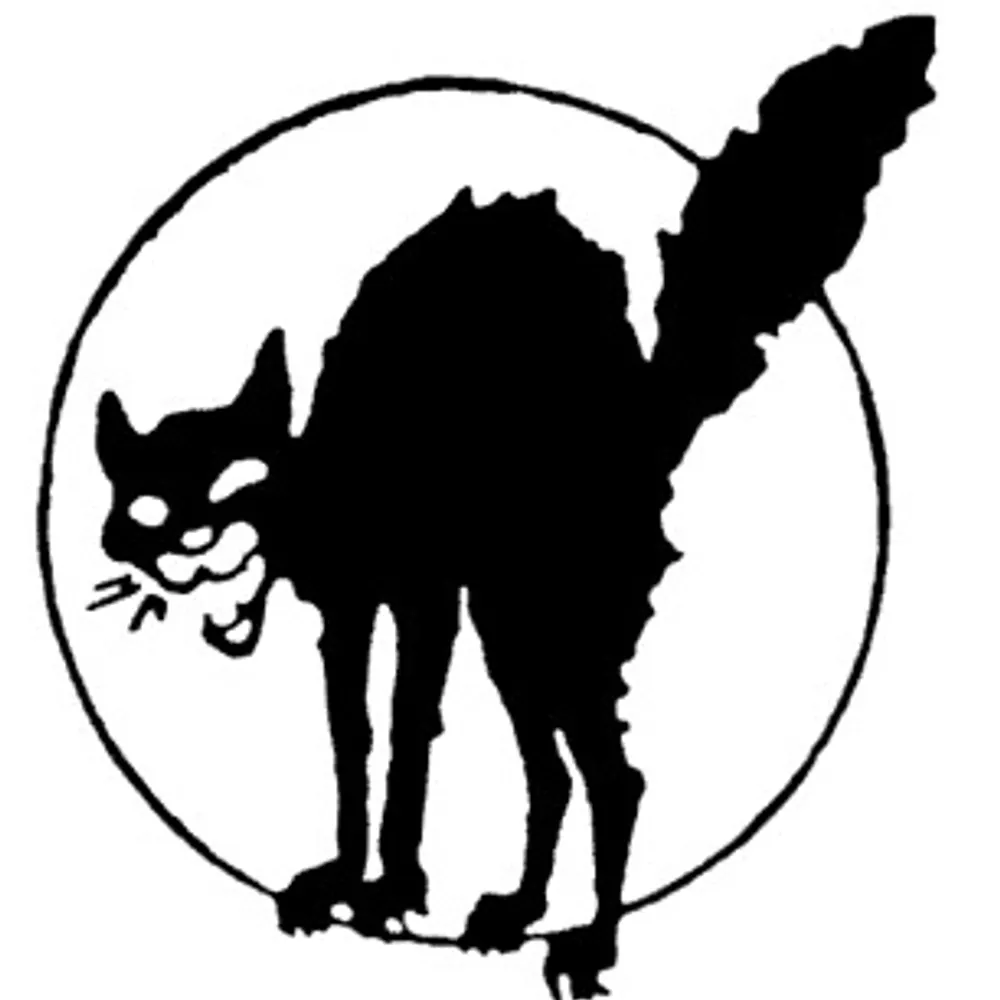 tiredeyes.bsky.social's profile picture