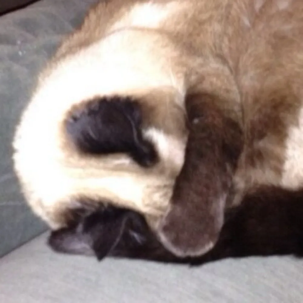 bdkakak4.bsky.social's profile picture