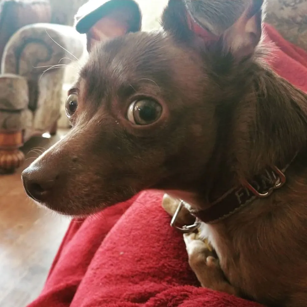 quakerinabasement.bsky.social's profile picture