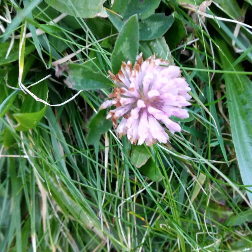 annmarieconnolly.bsky.social's profile picture