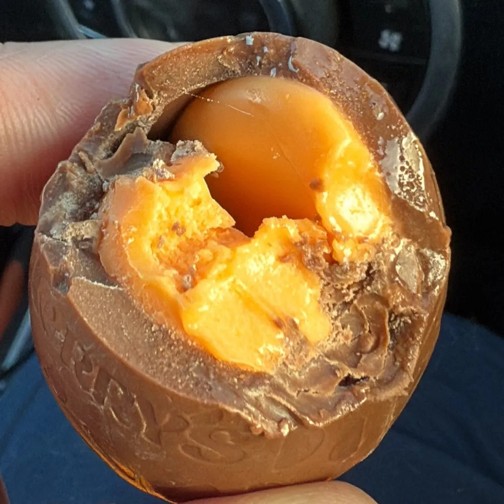 refugeefromtwitter.bsky.social's profile picture