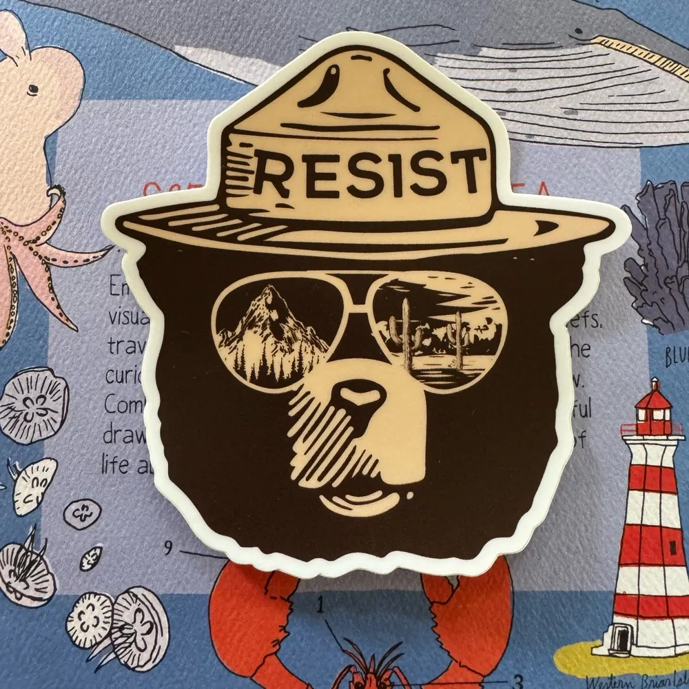 mirrorthestars.bsky.social's profile picture